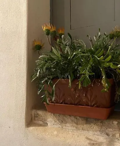 Apartman A Piedi Nudi Sullo Stretto 1 *