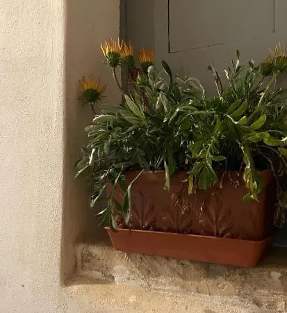 Apartamento A Piedi Nudi Sullo Stretto 1 *