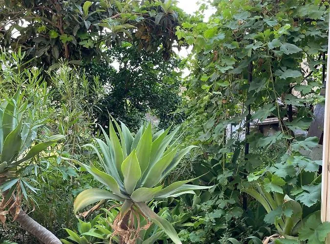 A Piedi Nudi Sullo Stretto 1 公寓 *